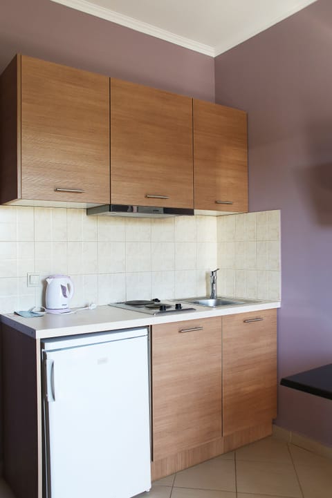 xxxExecutive Studio | Private kitchenette | Fridge, stovetop, coffee/tea maker, electric kettle