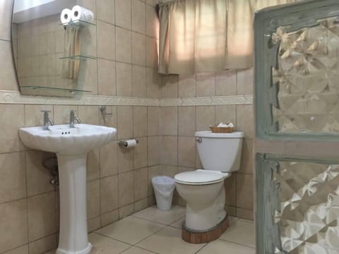 Executive Suite | Bathroom | Shower, free toiletries, towels