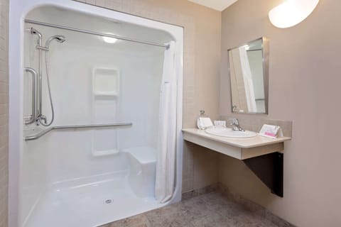 Combined shower/tub, free toiletries, hair dryer, towels