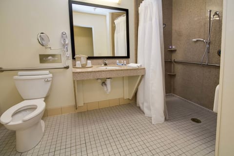 Combined shower/tub, free toiletries, hair dryer, towels