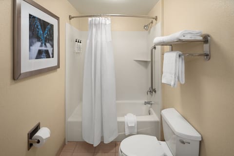 Combined shower/tub, free toiletries, hair dryer, towels