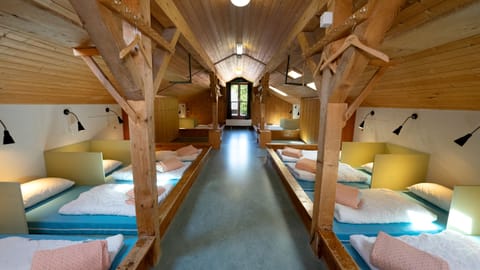 Shared Dormitory, Shared Bathroom (1 bed in 16 bed dorm)