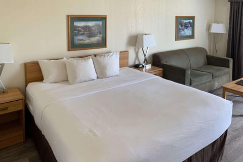 Room, 1 King Bed, Non Smoking | Iron/ironing board, free WiFi, bed sheets