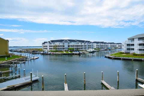 Condo, 2 Bedrooms | Marina