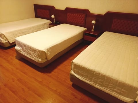 Deluxe Triple Room | Minibar, desk, free WiFi, bed sheets