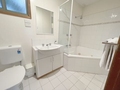 Spa Family Cabin | Bathroom | Shower, free toiletries, hair dryer, towels