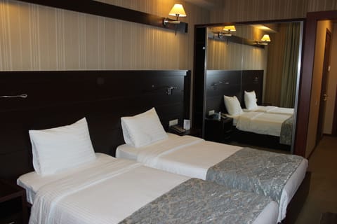 Standard Double or Twin Room | Free minibar items, in-room safe, desk, soundproofing