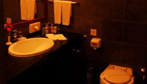 Double Room | Bathroom | Shower, free toiletries, hair dryer, towels