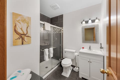 Room 5 with King Bed | Bathroom | Shower, hair dryer, bathrobes, towels