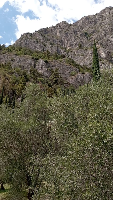 Twin Room, Mountain View | Minibar, in-room safe, desk, blackout drapes