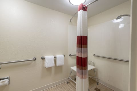 Deluxe Room, 1 King Bed, Accessible (Roll-In Shower, Smoke Free) | Bathroom | Free toiletries, towels