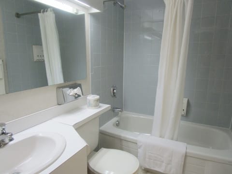 Combined shower/tub, free toiletries, hair dryer, towels