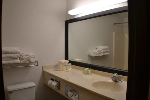 Combined shower/tub, free toiletries, hair dryer, towels