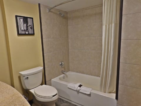 Suite, 1 King Bed, Non Smoking (One-Bedroom) | Bathroom | Free toiletries, hair dryer, towels, soap