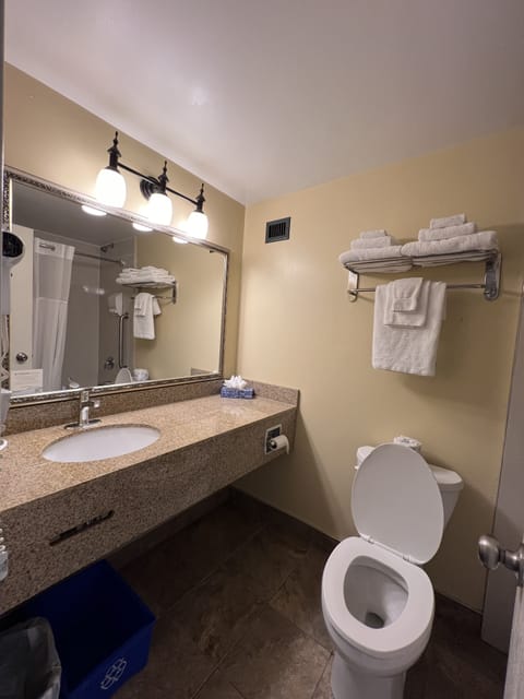 Combined shower/tub, free toiletries, hair dryer, towels