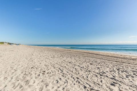 On the beach