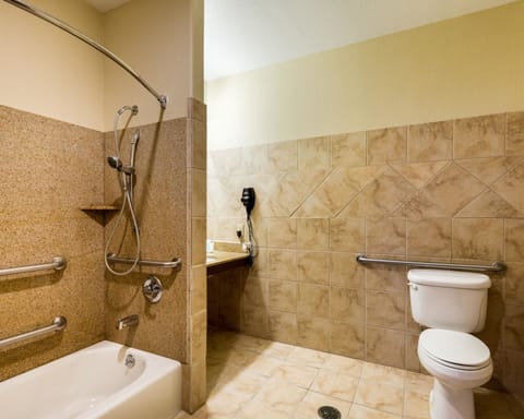 Combined shower/tub, free toiletries, hair dryer, towels