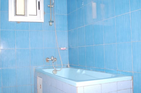 Separate tub and shower, hydromassage showerhead, free toiletries