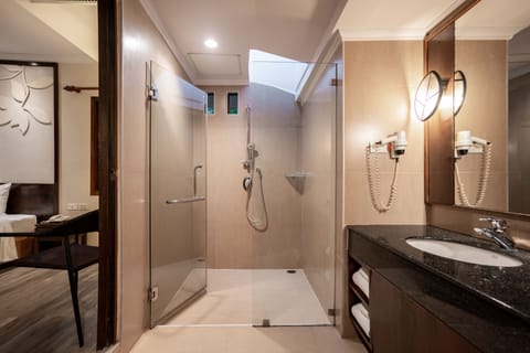 Villa | Bathroom | Shower, free toiletries, hair dryer, bathrobes