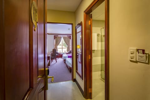 Superior Twin Room, City View | Minibar, in-room safe, free WiFi, alarm clocks