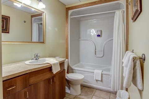 Combined shower/tub, free toiletries, hair dryer, towels