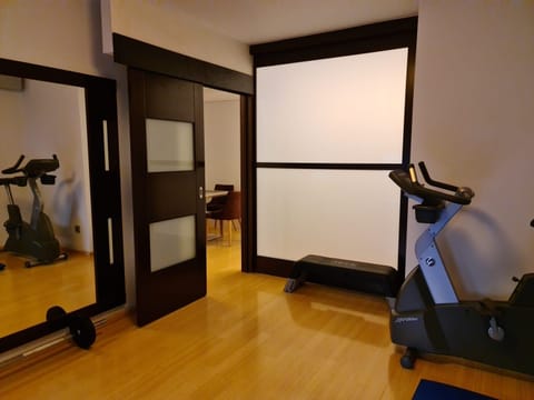 Superior Suite, 2 Bedrooms, Terrace, City View | In-room fitness