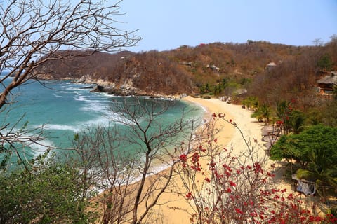 On the beach, white sand, sun loungers, beach umbrellas