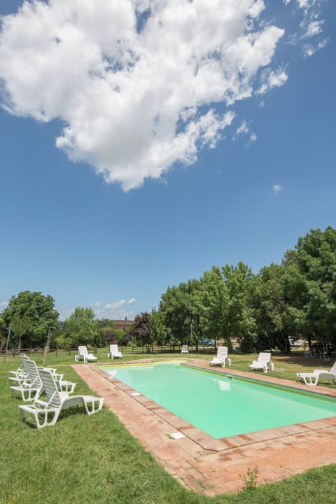 Outdoor pool, sun loungers