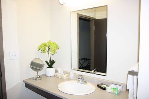 Suite, 1 Bedroom, Kitchenette (Not Pet Friendly) | Bathroom | Free toiletries, hair dryer, towels, soap