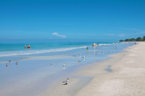 Beach nearby, white sand, beach towels