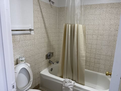 Combined shower/tub, free toiletries, towels