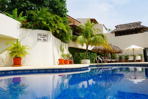 Outdoor pool, sun loungers