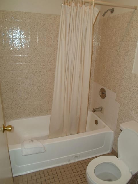 Combined shower/tub, free toiletries, towels