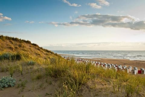 Beach nearby, 15 beach bars