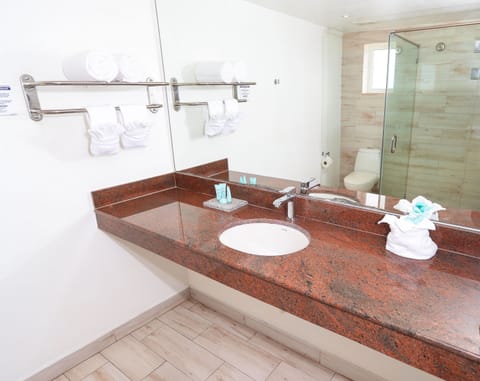 Standard Double Room, 1 Bedroom, Beach View | Bathroom sink