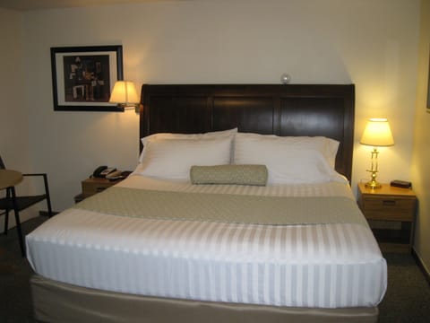 Standard Room, 1 King Bed, Refrigerator & Microwave, Ground Floor | Premium bedding, blackout drapes, iron/ironing board