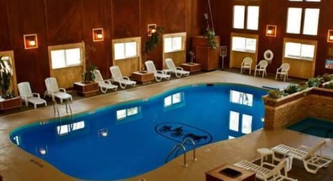 Indoor pool, sun loungers