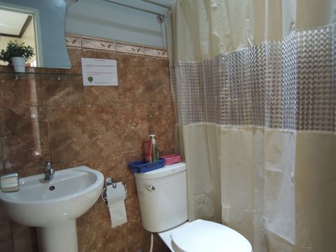 Deluxe Room | Bathroom | Shower, free toiletries, towels