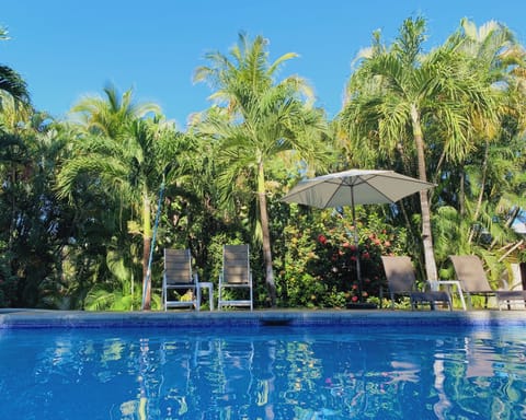 Outdoor pool, pool umbrellas, sun loungers