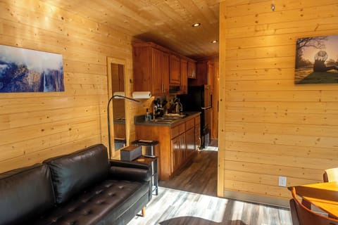 Deluxe Cabin | Living area