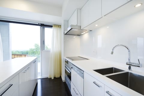 Premium Room, 1 Bedroom | Private kitchen | Fridge, microwave, stovetop, dishwasher