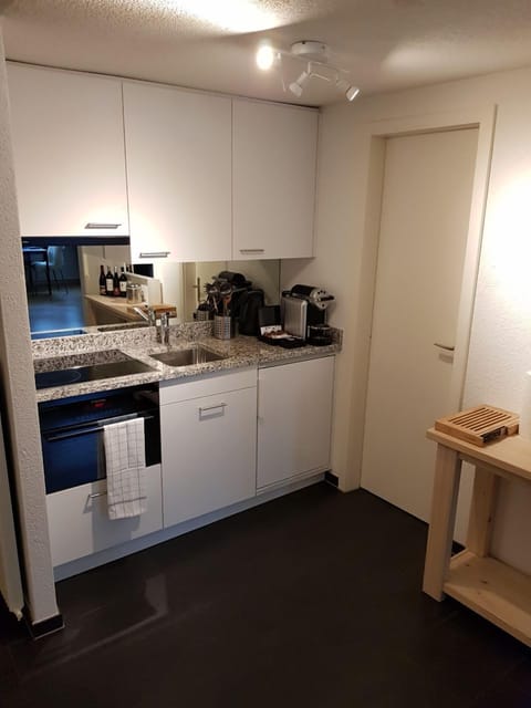 City Apartment, 1 Bedroom | Private kitchen | Fridge, oven, stovetop, espresso maker