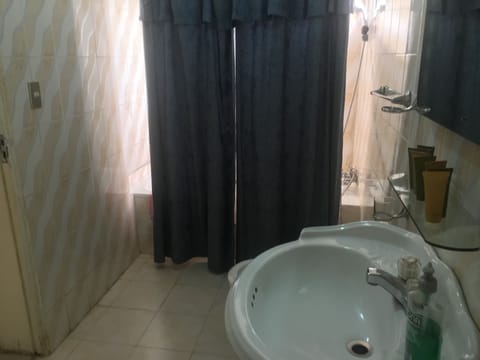 Executive Suite | Bathroom | Hair dryer, towels