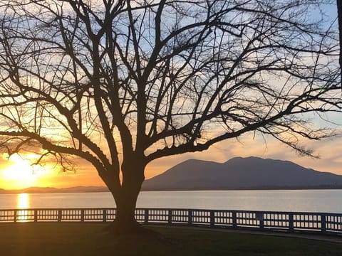 Land view from property