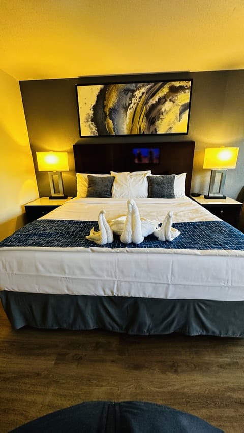 Desk, free WiFi, bed sheets