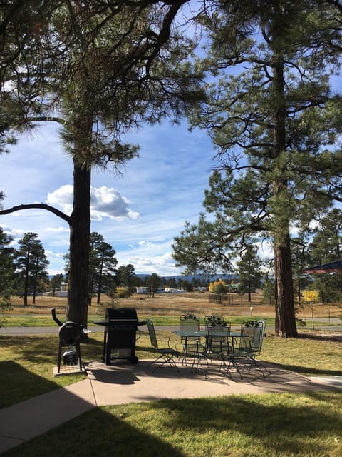 BBQ/picnic area