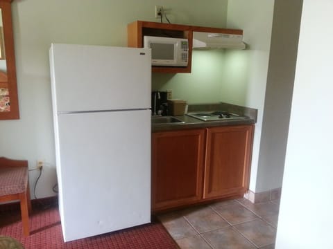 Standard Room, 1 King Bed | Private kitchenette | Full-size fridge, microwave