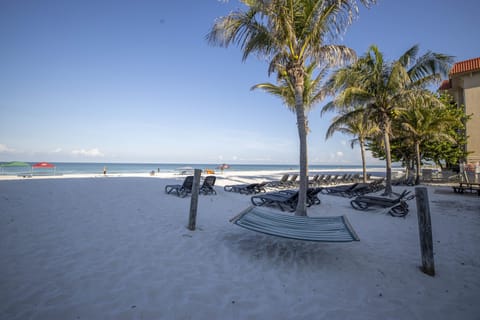 On the beach, beach umbrellas, beach towels