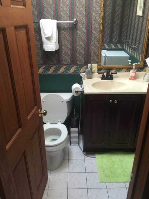 Room, Private Bathroom (Budget Room) | Bathroom sink