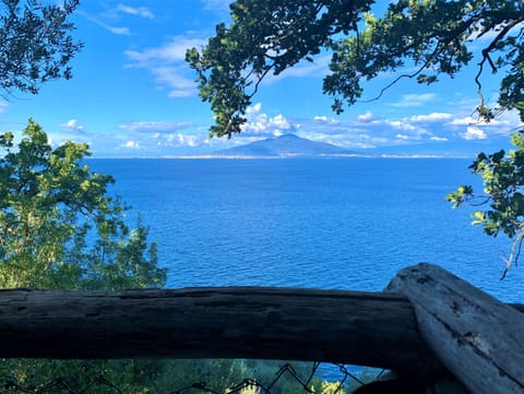 Superior Bungalow, Sea View | View from room